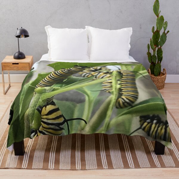 Item preview, Monarch Butterfly Caterpillar designed and sold by JDMHoney.