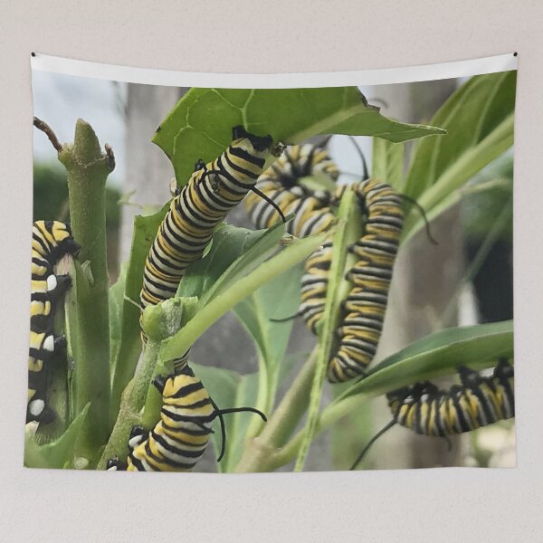 Item preview, Monarch Butterfly Caterpillar designed and sold by JDMHoney.