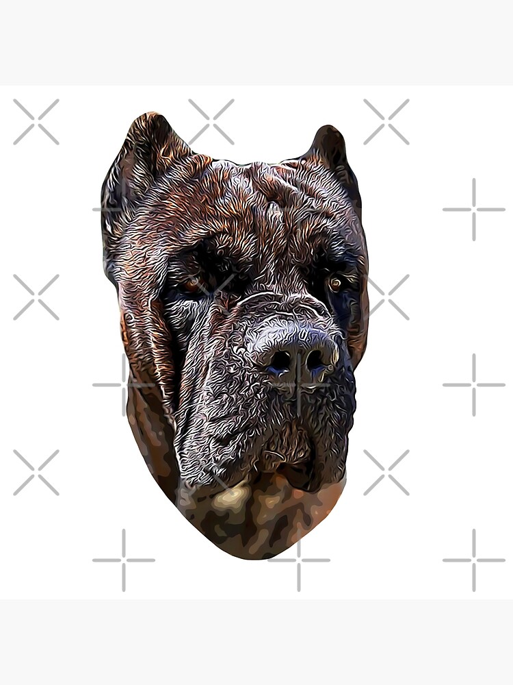 Cane Corso Skin Care & Bathing Products