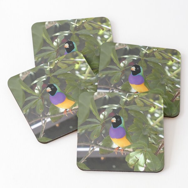 Item preview, Gouldian Finch Exotic Bird designed and sold by JDMHoney.