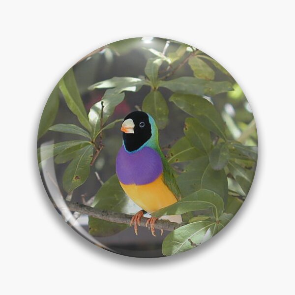 Item preview, Gouldian Finch Exotic Bird designed and sold by JDMHoney.