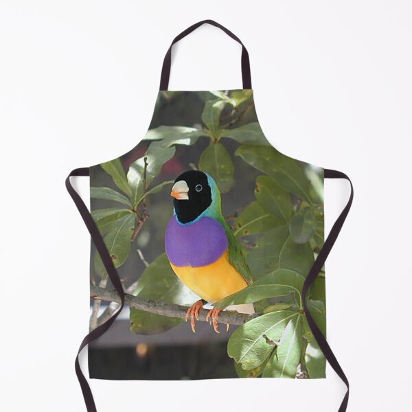 Item preview, Gouldian Finch Exotic Bird designed and sold by JDMHoney.