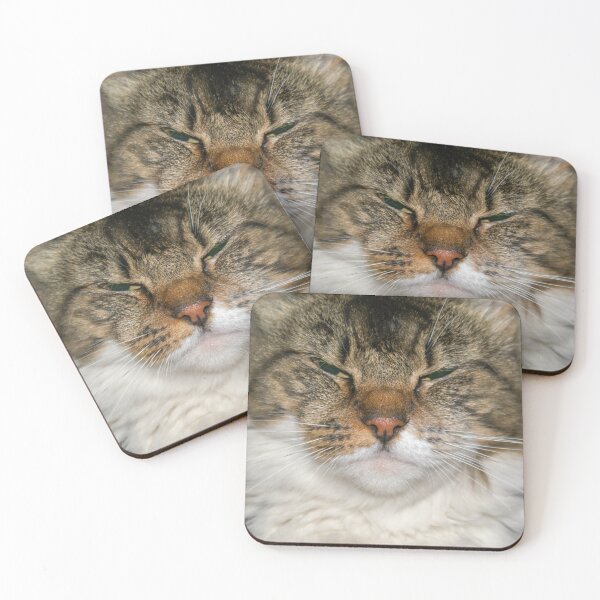Item preview, Inspiring Home Decor, Zen Photography, Living Room Decor, Fluffy Cat  designed and sold by visual-samadhi.