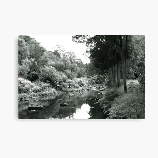 Item preview, Tarra-Bulga National Park designed and sold by Roz McQuillan Fine Art & Photography.