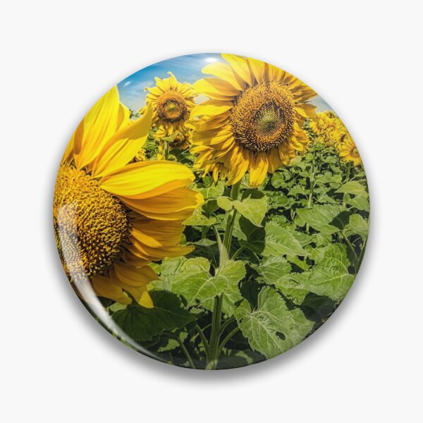 Item preview, Sunny Sunflowers 1 designed and sold by Robert Alsop.