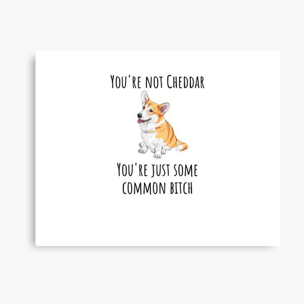 You're Not Cheddar Canvas Print