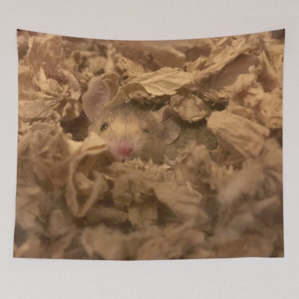 Item preview, Cute Winking Mouse designed and sold by AestheticNerd15.