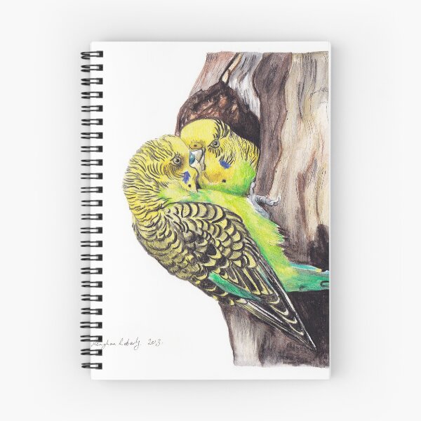 Artikelvorschau, Budgies entworfen und verkauft von Meaghan Roberts.