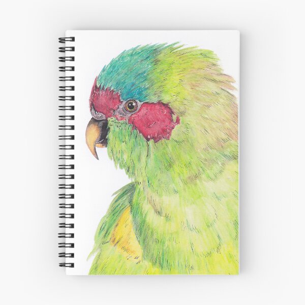 Item preview, Musk Lorikeet designed and sold by Meaghan Roberts.