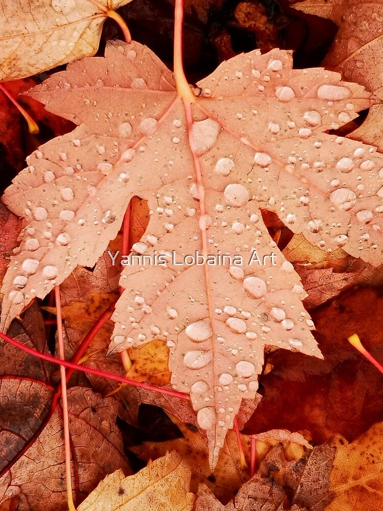 Enchanting Autumn arriving soon by Yannis Lobaina by lobaina1979