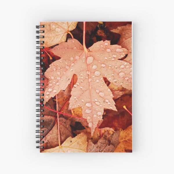 Enchanting Autumn arriving soon by Yannis Lobaina Spiral Notebook