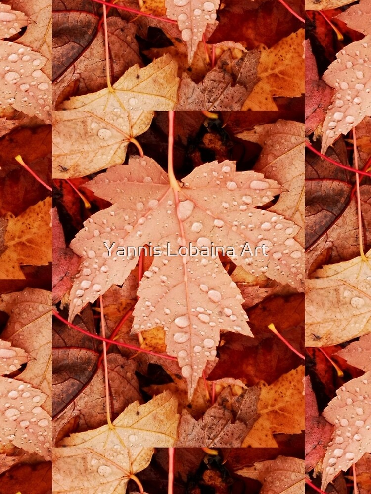 Enchanting Autumn arriving soon by Yannis Lobaina by lobaina1979