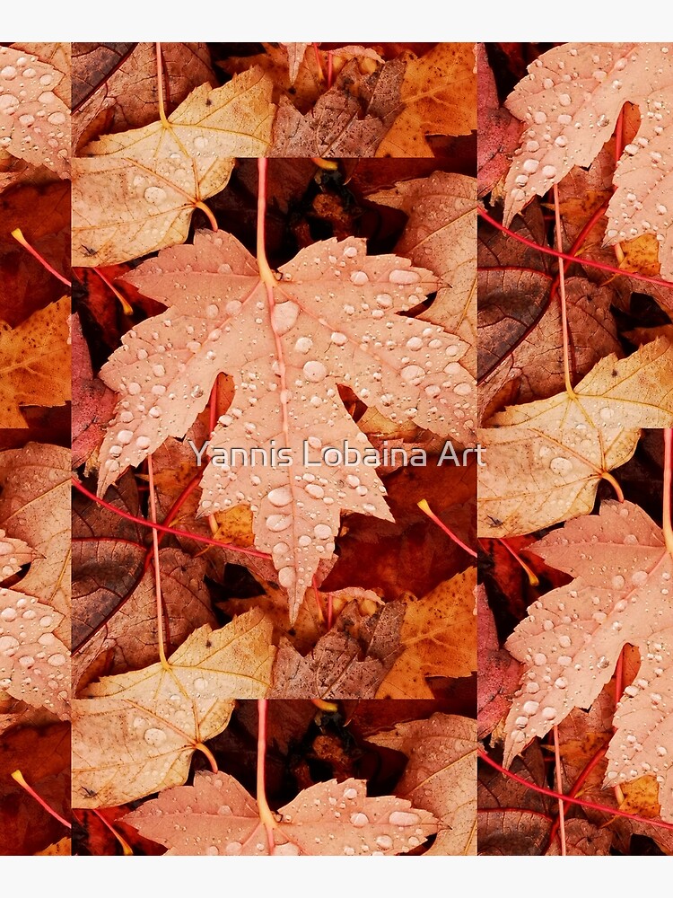 Enchanting Autumn arriving soon by Yannis Lobaina by lobaina1979