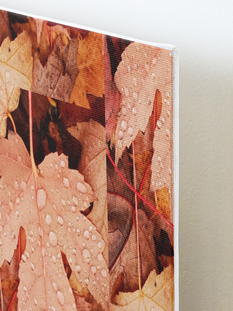 Alternate view of Enchanting Autumn arriving soon by Yannis Lobaina Mounted Print