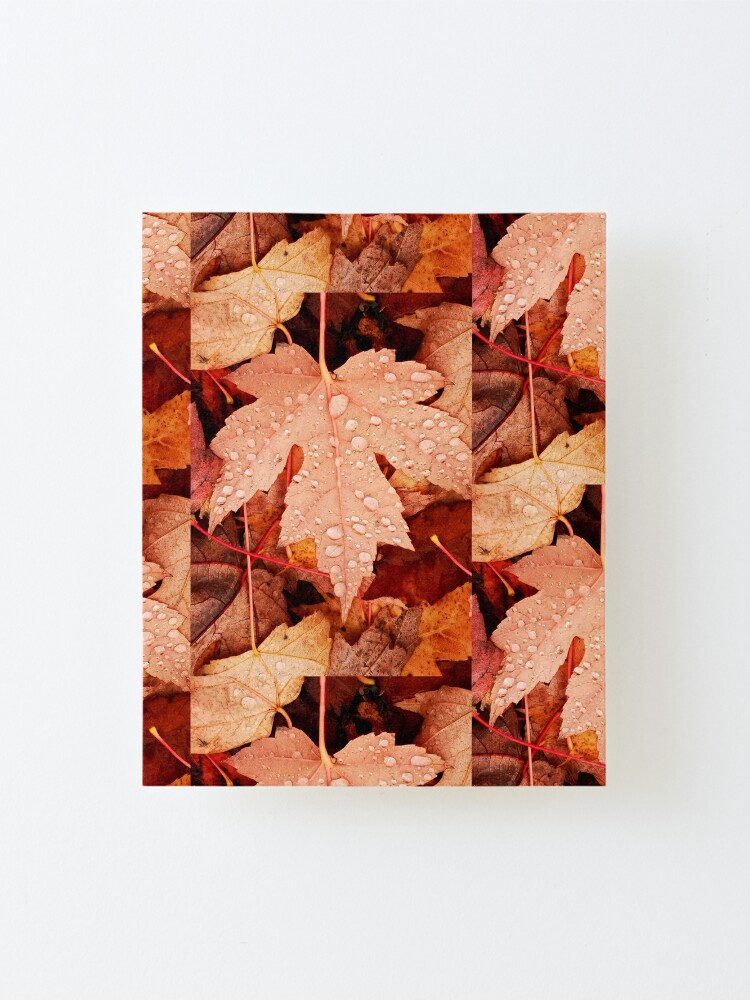 Alternate view of Enchanting Autumn arriving soon by Yannis Lobaina Mounted Print