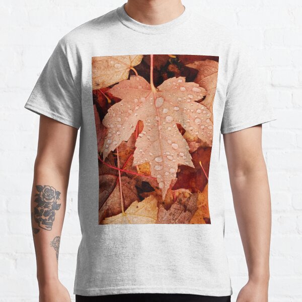 Enchanting Autumn arriving soon by Yannis Lobaina Classic T-Shirt