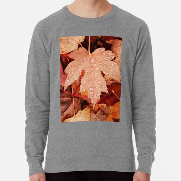 Enchanting Autumn arriving soon by Yannis Lobaina Lightweight Sweatshirt