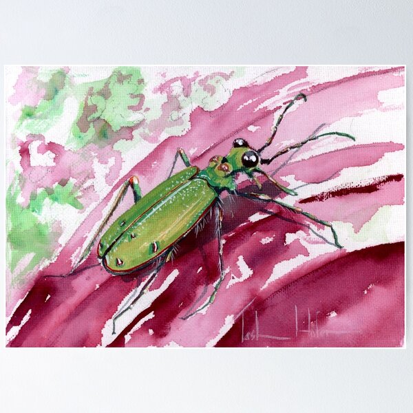 Item preview, Ohlone Tiger Beetle designed and sold by TASHHOFER.