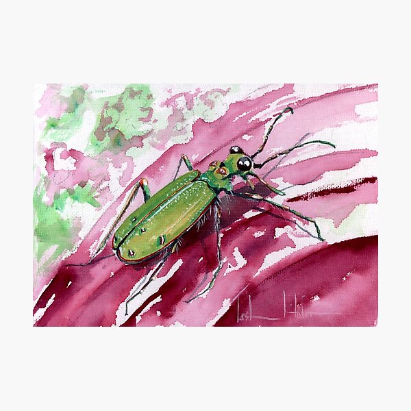 Item preview, Ohlone Tiger Beetle designed and sold by TASHHOFER.