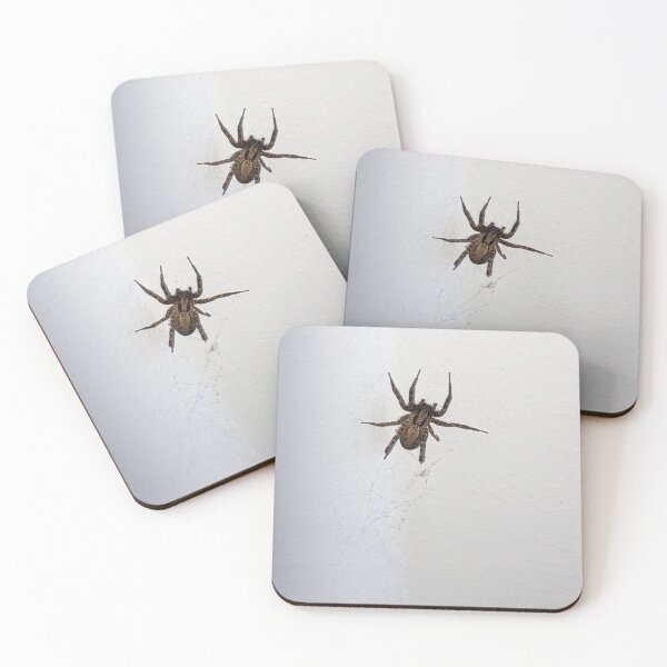 Item preview, Big Brown Spider designed and sold by Taranodongirl7.