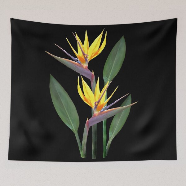 Item preview, Strelitzia - Tropical Flower - Kenya - Africa designed and sold by TShirtsundMehr.