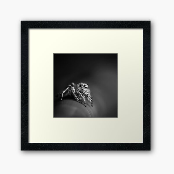 Item preview, Untitled VI designed and sold by Mords Saligumba.