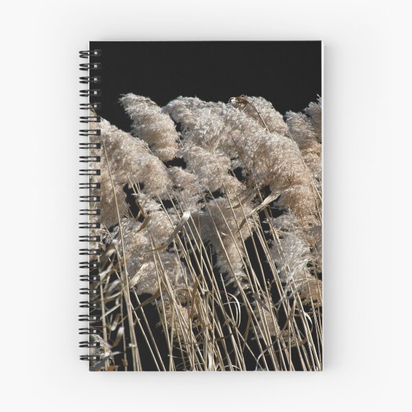 Item preview, Grass In The Wind designed and sold by GP1746.