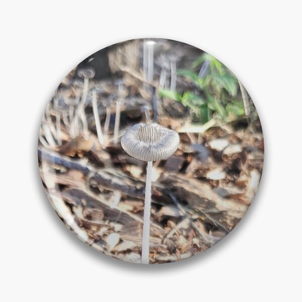 Item preview, Skinny Mushroom designed and sold by Corey Barron.