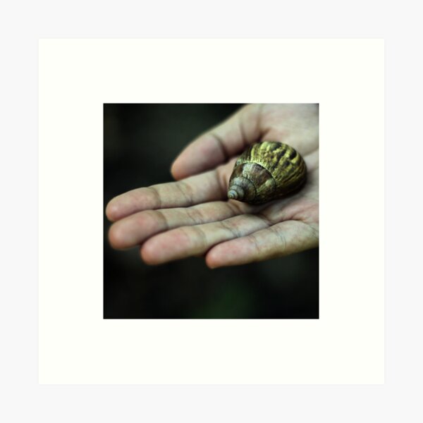121 Art Print