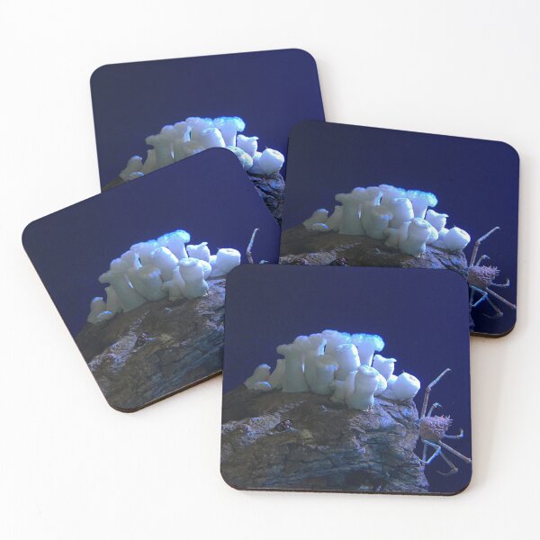 Item preview, White Anemone and Crab designed and sold by Taranodongirl7.