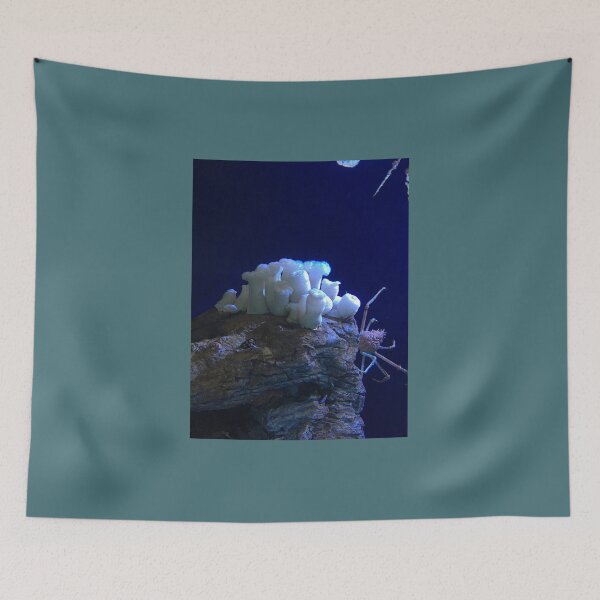 Item preview, White Anemone and Crab designed and sold by Taranodongirl7.