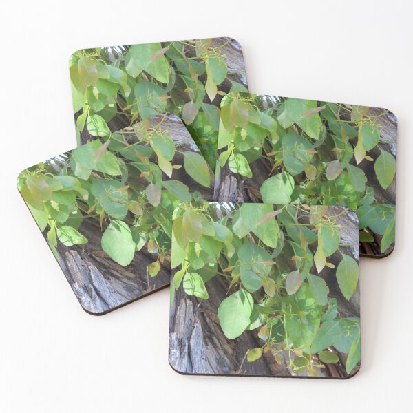 Item preview, New Tree Shoots designed and sold by Honey Myrtle Studio.