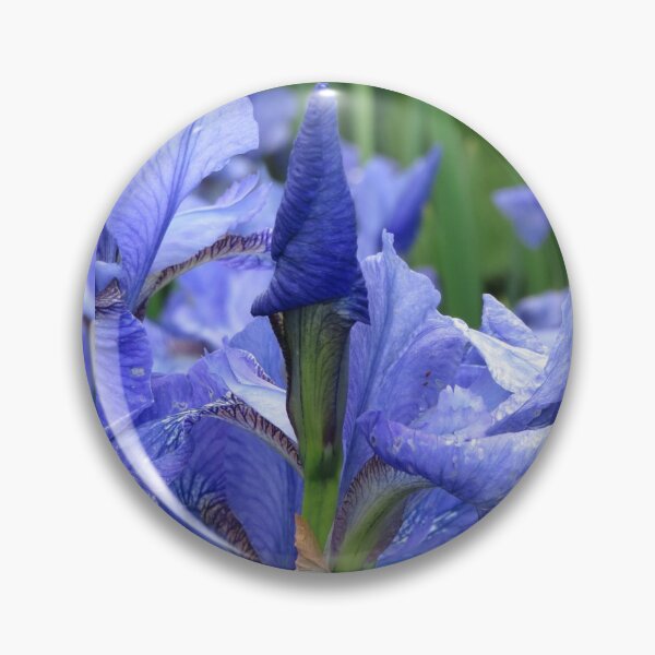 Item preview, Blue Flag Iris designed and sold by Honey Myrtle Studio.
