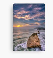 Stag and Mermaid Sunset Canvas Print