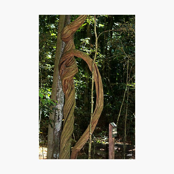 Item preview, twisted vines designed and sold by ljdewet.
