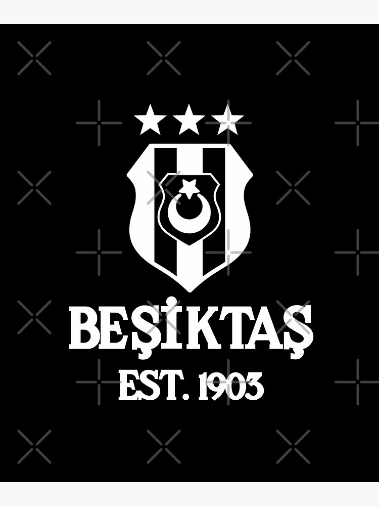 Besiktas Striped Official Flag