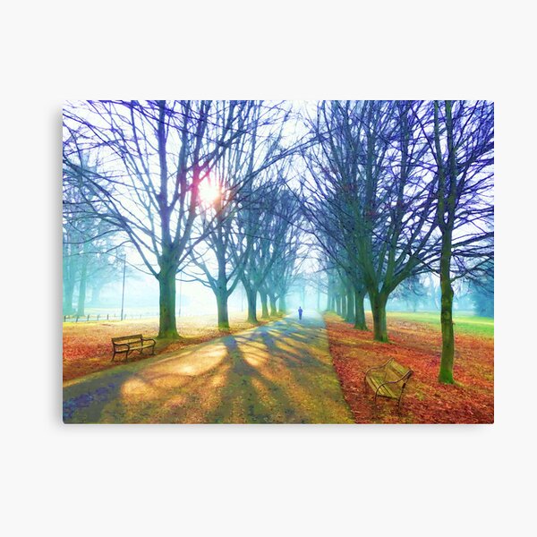 Winter Morning on Clifton Downs Canvas Print