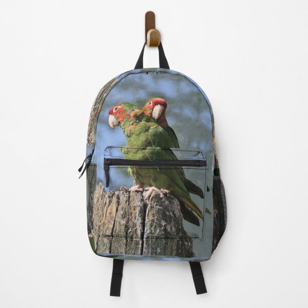 Item preview, r2395/ perroquet : Conure mitrée 2020 par Okaio Créations - Olavia-Olao designed and sold by o.okaïo.