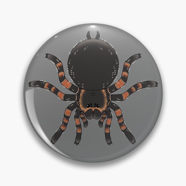 Item preview, Mexican Red Knee Collection designed and sold by seasicksquid.