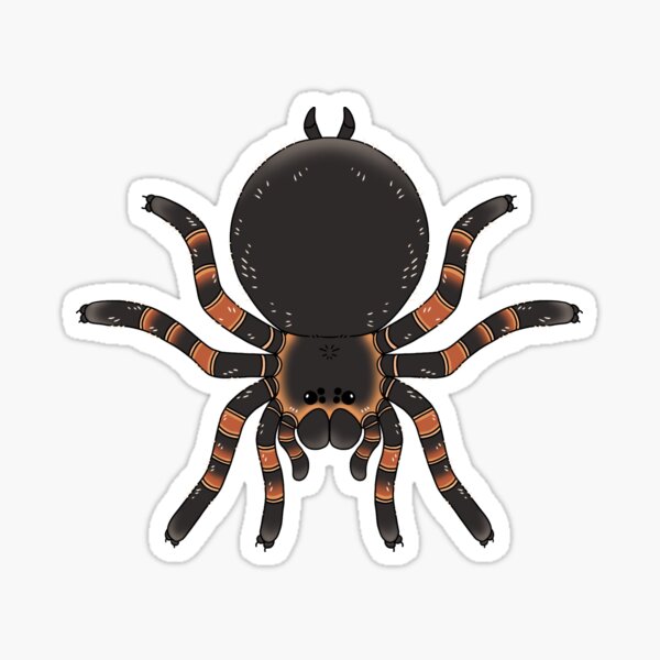 Item preview, Mexican Red Knee Collection designed and sold by seasicksquid.