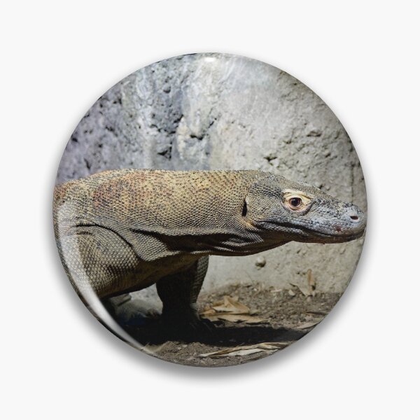 Item preview, No, I'm Not Ugly designed and sold by Alexandra Lavizzari.