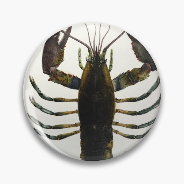Item preview, Antique crustacean print - Homarus americanus (The American lobster) designed and sold by Gardenlibrary.