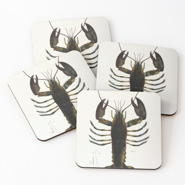 Item preview, Antique crustacean print - Homarus americanus (The American lobster) designed and sold by Gardenlibrary.