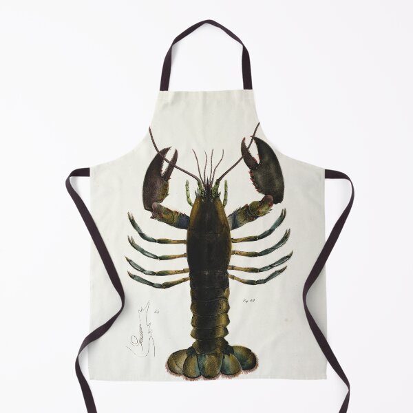 Item preview, Antique crustacean print - Homarus americanus (The American lobster) designed and sold by Gardenlibrary.