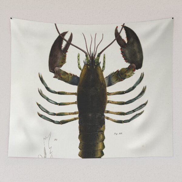 Item preview, Antique crustacean print - Homarus americanus (The American lobster) designed and sold by Gardenlibrary.