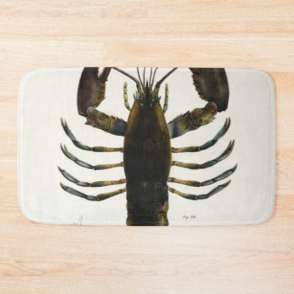 Item preview, Antique crustacean print - Homarus americanus (The American lobster) designed and sold by Gardenlibrary.
