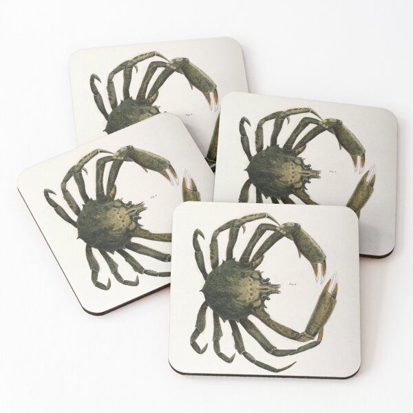 Item preview, Antique crustacean print - Libinia canaliculata (Spider crab) designed and sold by Gardenlibrary.