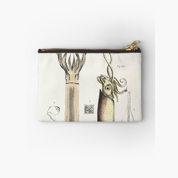 Item preview, Antique mollusk print - Loligo brevipinna (Atlantic brief squid) designed and sold by Gardenlibrary.