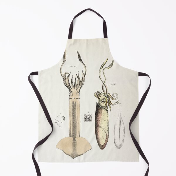 Item preview, Antique mollusk print - Loligo brevipinna (Atlantic brief squid) designed and sold by Gardenlibrary.
