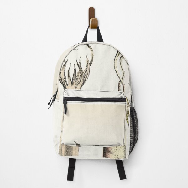 Item preview, Antique mollusk print - Loligo brevipinna (Atlantic brief squid) designed and sold by Gardenlibrary.